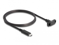 DeLOCK 87824 USB Kabel USB 3.2 Gen 2 (3.1 Gen 2) 1 m USB C Schwarz