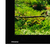 Da-Lite HomeScreen Deluxe projectiescherm 3,53 m (139") 16:10