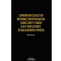 Convention collective nationale Hospitalisation, Soins