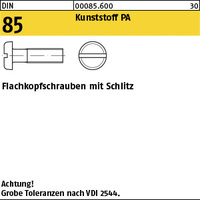 DIN 85 Kunstst. M 6 x 10 Polyamid Kunstst VE=S