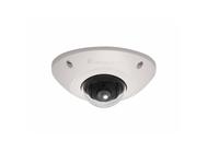LevelOne IPCam FCS-3073 Dome Out 2MP H.264 3,5W PoE