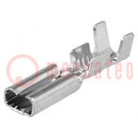 Conector: plano; 2,8mm; 0,8mm; hembra; 0,5÷1mm2; crimpados; recto