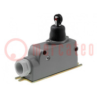 Limit switch; transversal plastic roller; SPDT; 6A; max.400VAC