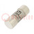 Fuse: fuse; gG; 50A; 500VAC; cylindrical,industrial; 22x58mm