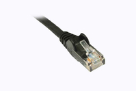 Biamp C5E-25-P networking cable Black 7.6 m Cat5e