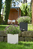LECHUZA CUBE Cottage 30 All-in-One Set Binnen/buiten Plantenpot Vrijstaand Polypropyleen (PP) Bruin