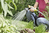 Kärcher 2.645-290.0 Garten-Wasserspritzpistole Garten Wassersprühpistole Schwarz, Gelb