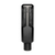 LEWITT LCT 441 FLEX Schwarz Studio-Mikrofon