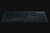 Razer Cynosa Lite keyboard Gaming USB Black