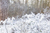 BeamZ SNOW5000 Künstliche Schneemaschine