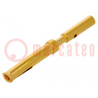 Contact; female; copper alloy; gold-plated; 28AWG÷24AWG; crimped