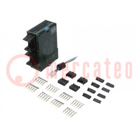 Module: extension; OUT: 16; IN: 16; FP0R; 90x60x25mm; 24VDC