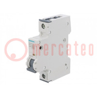 Circuit breaker; 230/400VAC; Inom: 25A; Poles: 1; Charact: A; 10kA