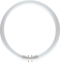 Philips MASTER LED TL5 Circular 60W/840 1CT fluorescent bulb Cool white