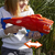 Nerf Junior Wild Wild Lionfury