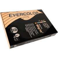 Multifunktionspapier evercolor RC A3 420x297mm 80g/qm lachs VE=500 Blatt