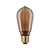 Dekorative LED Edisonlampe ST64 INNER GLOW SPIRAL, E27, 4W 1800K 200lm, Goldglas