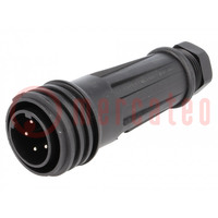 Connector: circular; plug; male; PIN: 5; Buccaneer 900; for cable