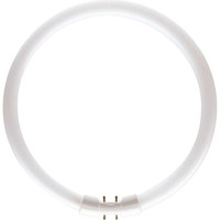 Philips Ringf?rmige Leuchtstofflampe Master TL5 Circular 60W/830 1CT