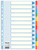 Kartonregister Standard Blanko, A4, Karton, 12 Blatt, weiss