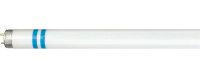 Philips MASTER TL-D Secura fluorescent bulb 18 W G13 Cool white