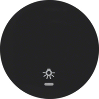 Berker Wippe mit klarer Linse und Aufdruck Symbol Licht R.1/R.3 schwarz, glänzend