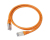 Gembird PP12-2M/O networking cable Orange Cat5e