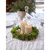 Star Trading LED Teelichter 2 Set Flamme Flow