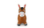 Jamara Hopping animal horse brown with pump opblaasbaar speelgoed