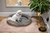 Camry Premium CR 7431 kutya- és macskaágy Fűthető kisállat fekhely