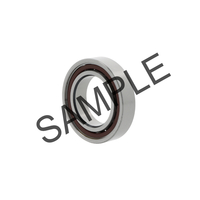 Spindle bearings S61901 C TA P4 UM