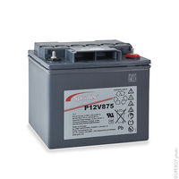 Batterie(s) Batterie onduleur (UPS) SPRINTER P12V875 12V 40Ah M6-M