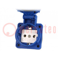 Connector: AC-voeding; contact; 2P+PE; 250VAC; 16A; blauw; PIN: 3