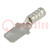 Terminal: flat; 4.8mm; 0.5mm; male; crimped; for cable; straight