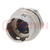 Connector: circular; HR10; push-pull; socket; 2A; gold-plated; male