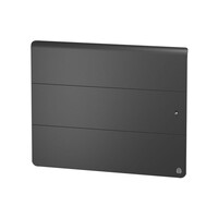 Radiateur fonte Axoo horizontal 1250W Anthracite (NEN3074SEHS)
