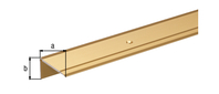 Treppenkanten-Schutzprofil,Alu gold elox.,LxBxHxS1000x45x23x2,5mm