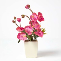Dark Pink Phalaenopsis Orchid, in Cream Pot, 400 mm