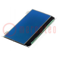 Display: LCD; alphanumeric; STN Negative; 20x4; blue; 66x38.1mm