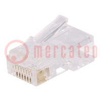 Plug; RJ45; PIN: 8; Contacts: phosphor bronze; gold-plated; UL94V-2