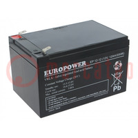 Re-battery: acid-lead; 12V; 12Ah; AGM; maintenance-free; EP