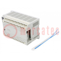 Module: PLC programmable controller; OUT: 16; IN: 24; FP-X0