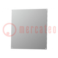 Mounting plate; steel; 2mm; PS442-7035; Series: Polysafe