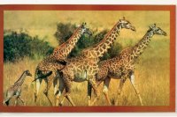Detailbild - Gummi-Motivmatten INTUITION, Giraffe, 75 x 45 cm
