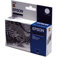 Epson Chameleon Ink Cart matt black 540sh f SP 2100 Druckerpatrone 1 Stück(e) Original Schwarz