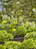 Gardena 13322-20 tuinsprinkler Ronde tuinsprinkler Kunststof Zwart