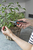 Gardena FreshCut Nożyce ogrodowe Bypass Czarny, Zielony