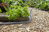 Gardena Liano manguera de jardín 15 m Negro, Naranja Tela