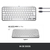 Logitech MX Keys Mini For Mac Minimalist Wireless Illuminated Keyboard toetsenbord Bluetooth QWERTZ Duits Grijs