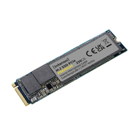 Intenso M.2 SSD Premium PCIe 250 GB